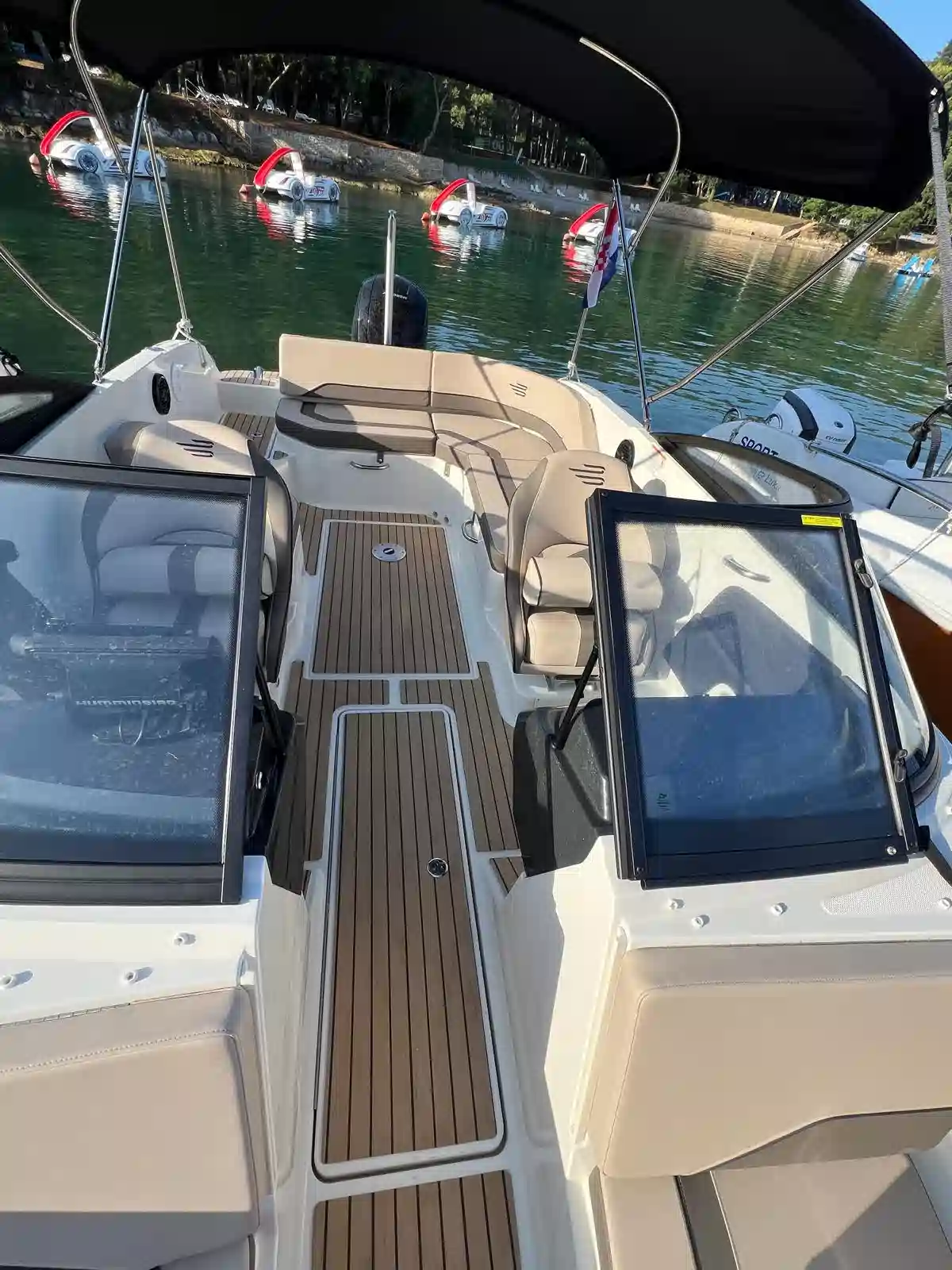 Bayliner V20 150HP - picture 3